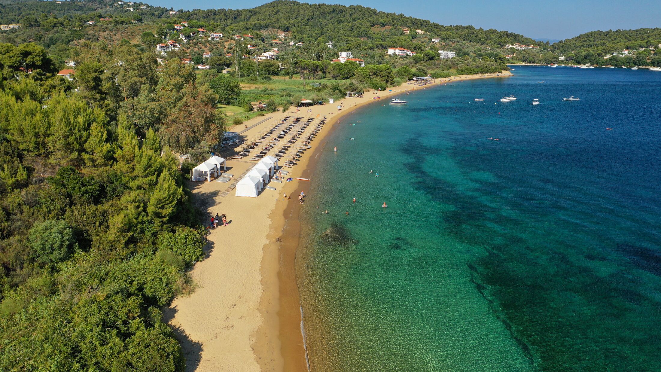 Aerial drone photo of famous organised with sun beds and umbrellas sandy beach of Agia Paraskevi in island of Skiathos, Sporades, Greece