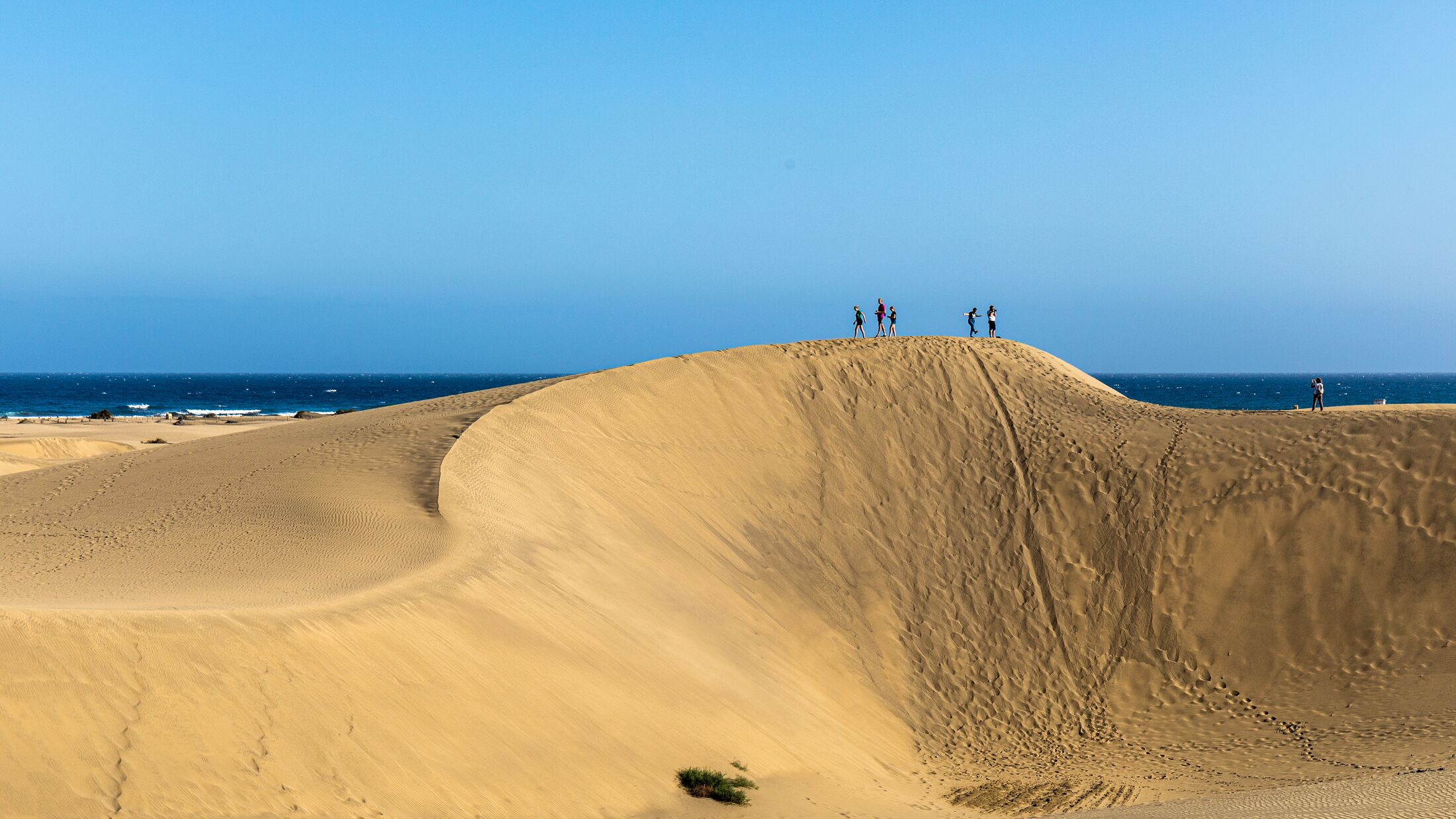 people on the top of sand dune on the beach in maspalomas, gran